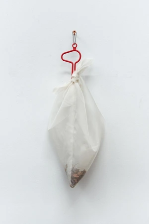 Paige K. Bradley, Responsible Dog Owner, 2024. BPA-free, non-toxic plastic with silk organza, preserved cherry blossoms, plum stones, apple seed, and latex painted screw. 18 ½ x 6 ½ x 4 ½ in.